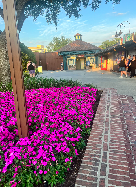 The Top 3 Quiet Places to Feed Your Baby in Each Disney World Park (That Aren’t the Baby Care&nbsp;Centers)