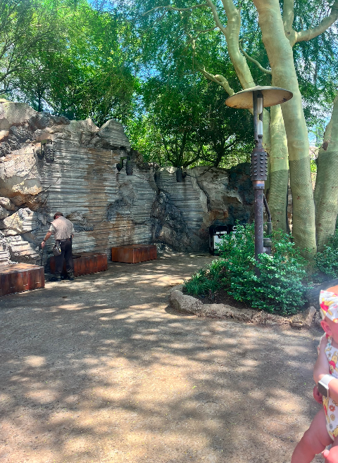 Galaxy's Edge Benches